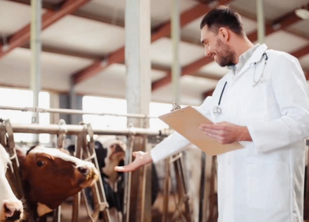Sourcing Best Quality Farm Milk 1
