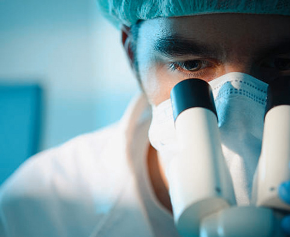 Highest Quality & Food Safety Standards 3